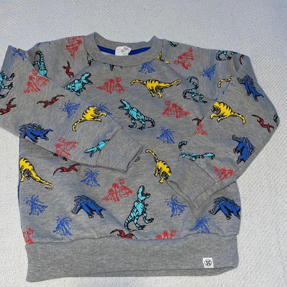 Dinosaur sweatshirt Youth SZ 7 (Runs small- IMO 5/6)